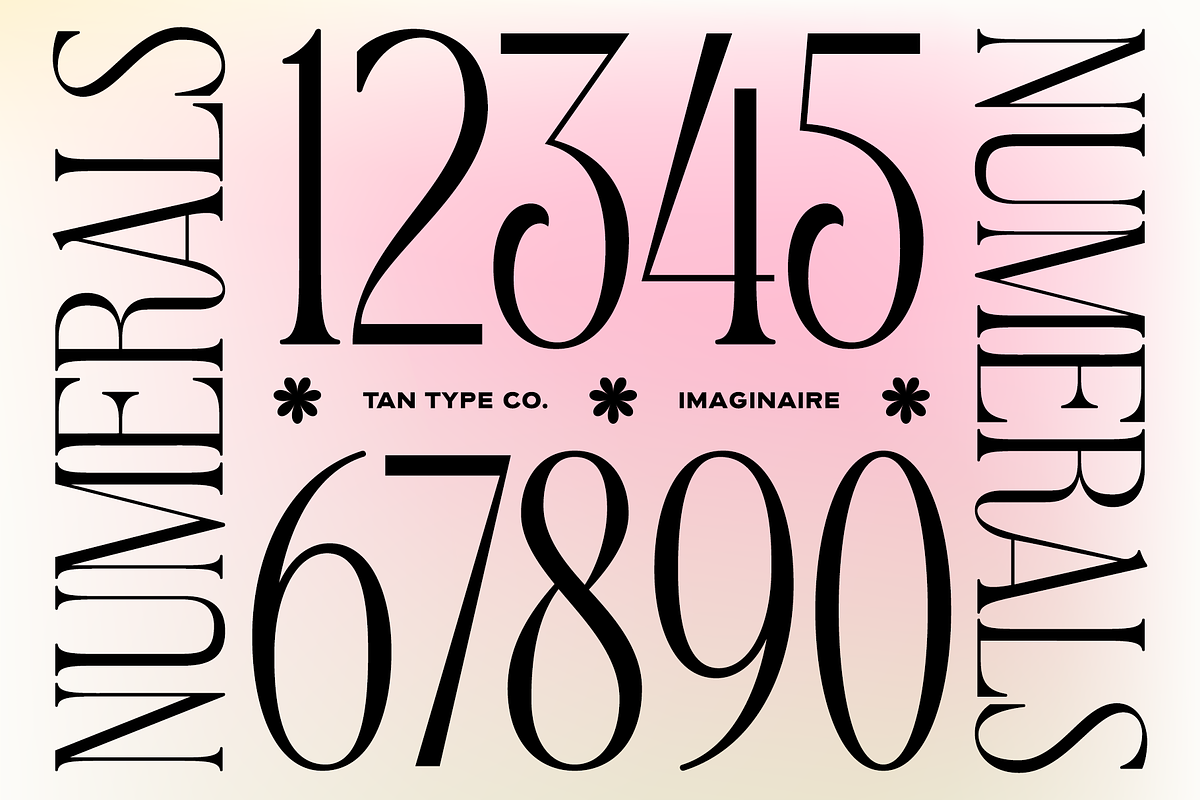 TAN - IMAGINAIRE, a Serif Font by TanType (Photo 7 of 12)