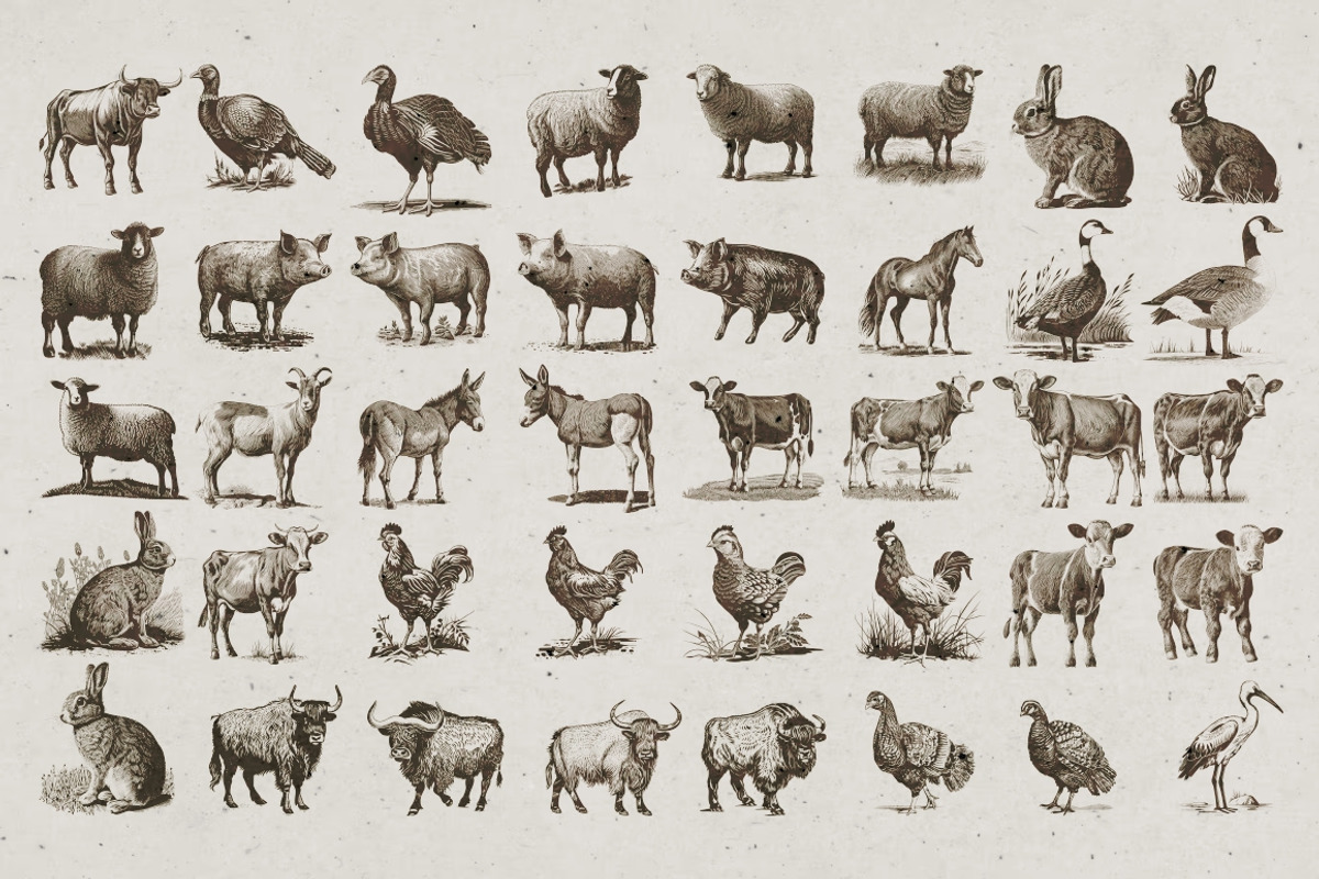 Farm Animals Illustrations, an Animal Illustration by Nocturnal Wolf (Photo 10 of 14)