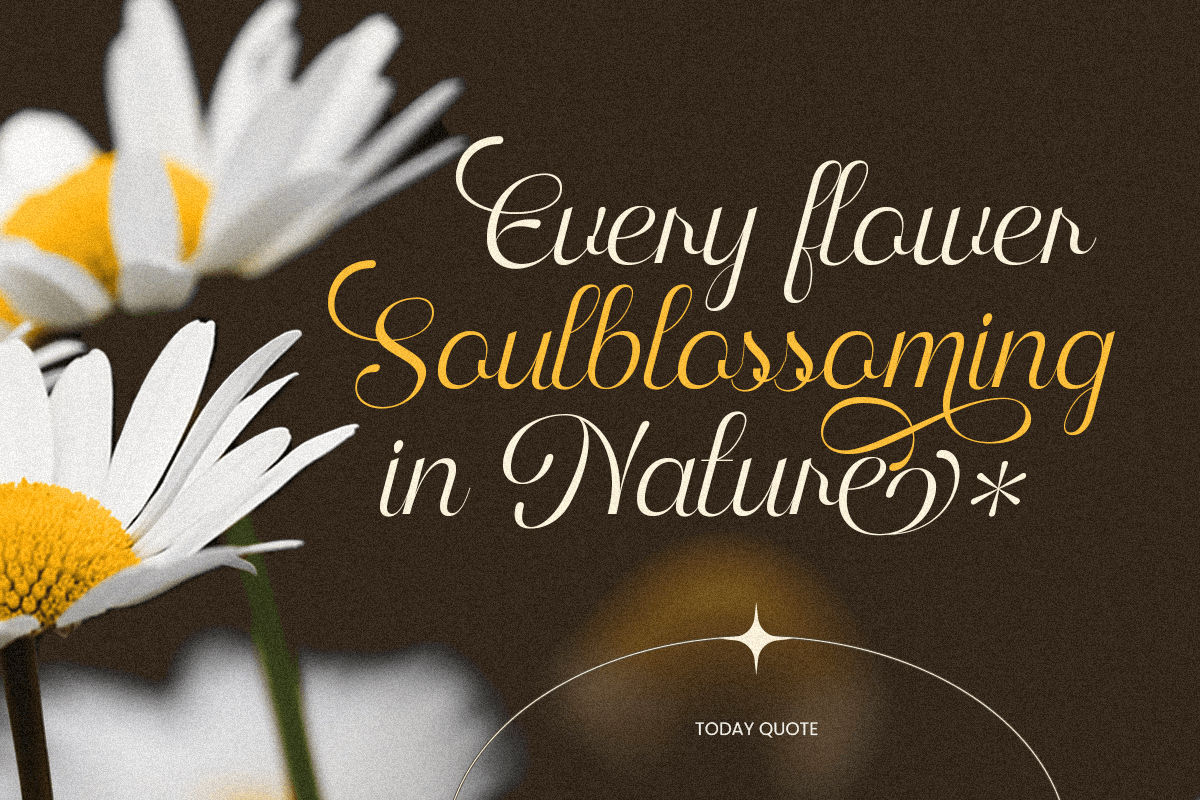 Monologue Elegant Luxury Script Font, a Script Font by Sensatype (Photo 7 of 12)