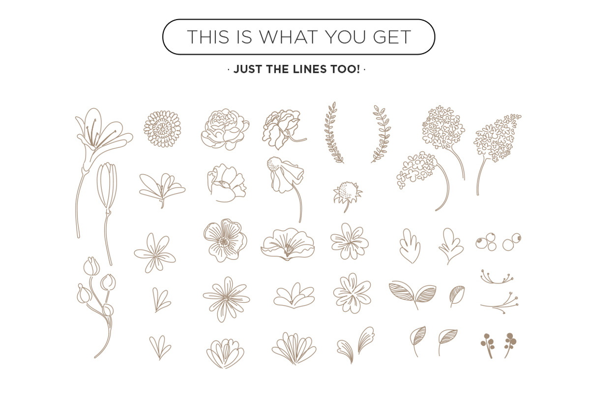 Spring Flowers . Vectors Ai, a Decorative Illustration by tomodachi studio (Photo 4 of 5)