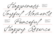 De Rough Belmonty Modern Rough, a Script Font by Letterena Studios Script (Thumbnail 4 of 15)