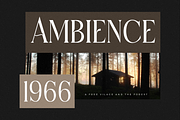 Micksenav Display Serif Font, a Serif Font by Storytype Studio (Thumbnail 6 of 15)