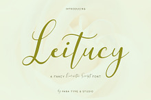 Leitucy Script Font