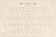 Mollani Nature Script, a Script Font by alit design (Thumbnail 11 of 20)