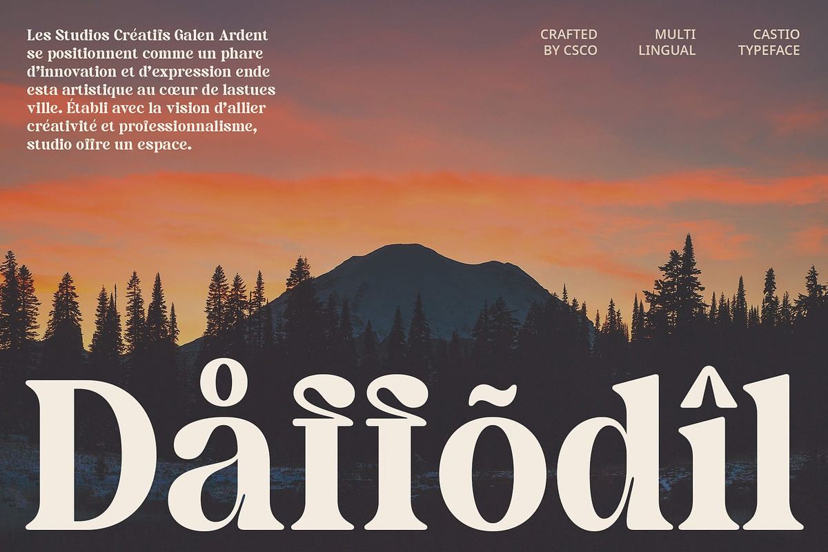 Castio – Bold Font, a Serif Font by Craft Supply Co. (Photo 6 of 8)