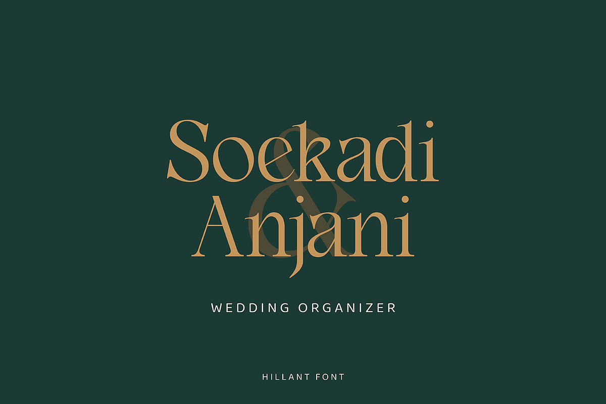 Hillant - Elegant Condensed Serif, a Serif Font by Dikas Studio (Photo 7 of 9)