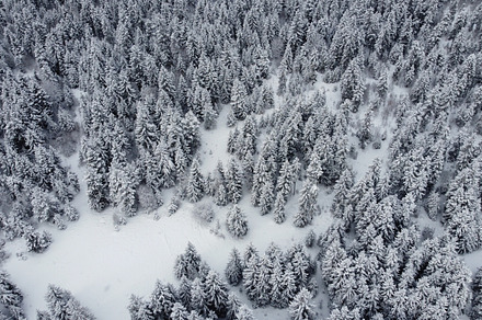 Snowed Forest Aerial View - Drone vi, a Nature Photo by GeorgeKhelashvili