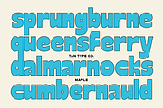 TAN - MAPLE, a Font by TanType (Thumbnail 8 of 11)