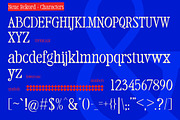 Neue Rekord Typeface - Display Fonts, a Serif Font by Gumico Studio. (Thumbnail 6 of 6)