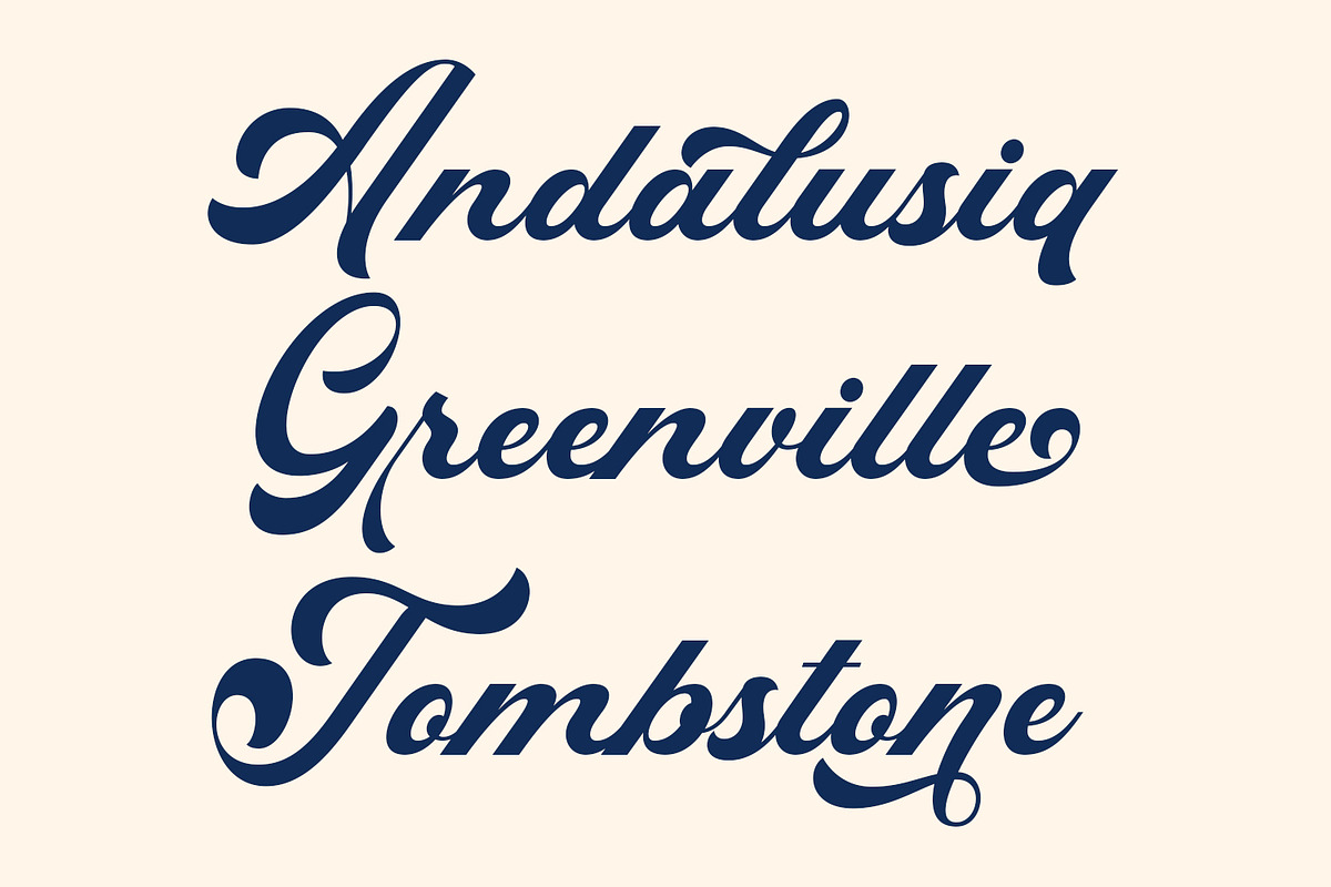 Rigidity Bold Script Font, a Script Font by Arendxstudio (Photo 5 of 9)