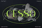 Cesso: Ligature Serif, a Serif Font by That That Creative (Thumbnail 1 of 17)