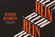 TRT Regard Condensed Display Font, a Serif Font by truetype (Thumbnail 3 of 15)