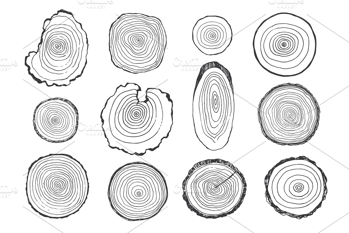 Tree Rings, an Object Illustration by GooseFrol