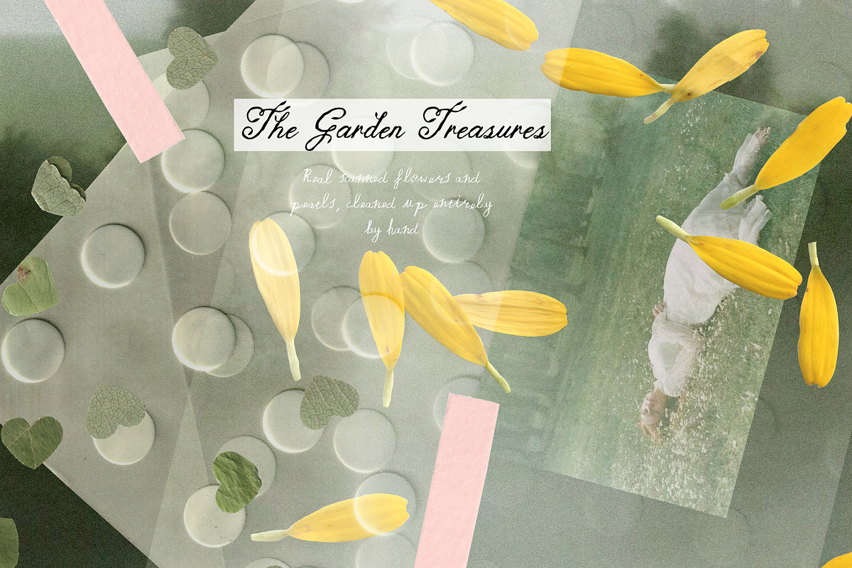 The Garden Treasures Floral Overlays, an Object Graphic by Muse Artist (Photo 14 of 14)