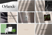 Modern & Elegant Font Bundle, a Script Font by AndrewPixel (Thumbnail 12 of 25)