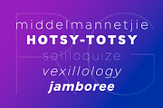JT Leonor, a Sans Serif Font by JAM Type (Thumbnail 13 of 15)