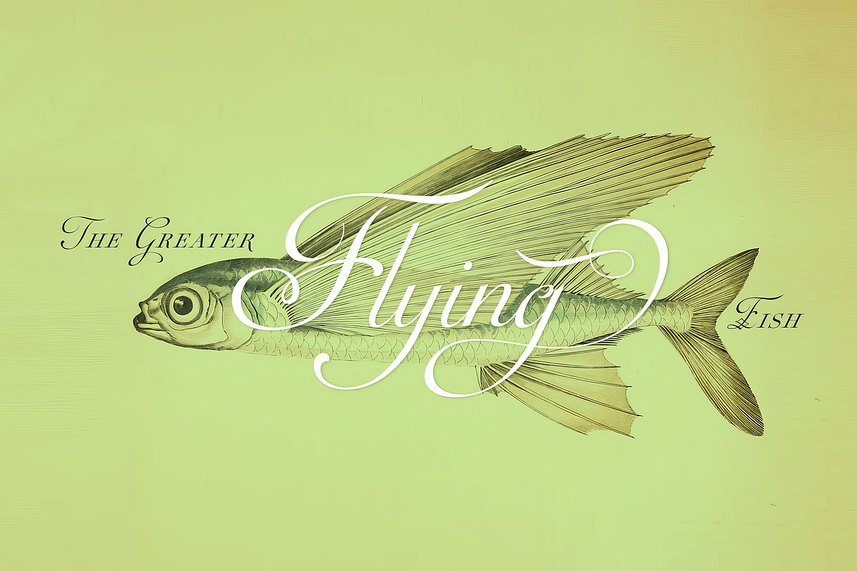 Auberge Script, a Script Font by Sudtipos (Photo 10 of 11)