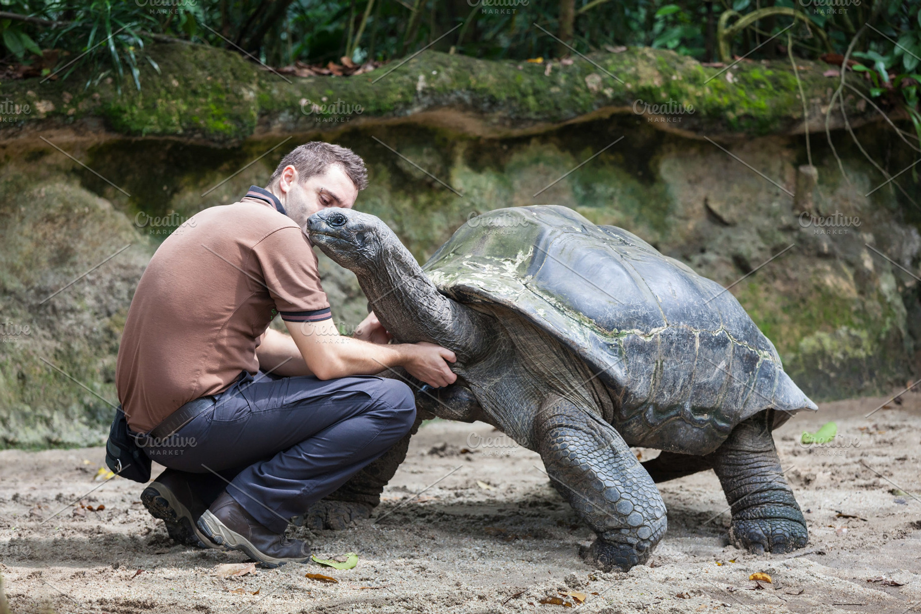 Men and turtle, a Photo by saiko3p