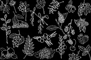 Vector berries, an Illustration by risovanya (Thumbnail 7 of 9)
