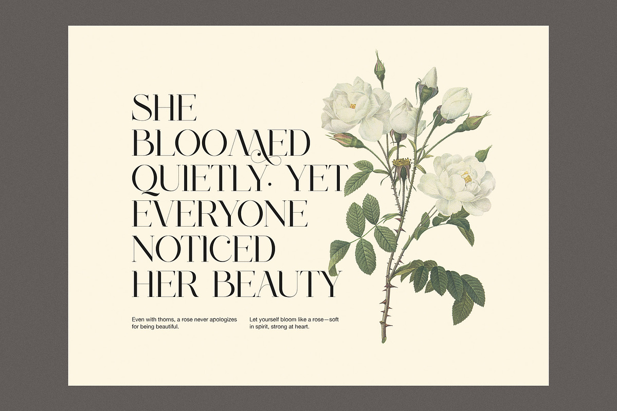 Aldiner Elegant Serif Font, a Serif Font by Perfectype (Photo 6 of 8)