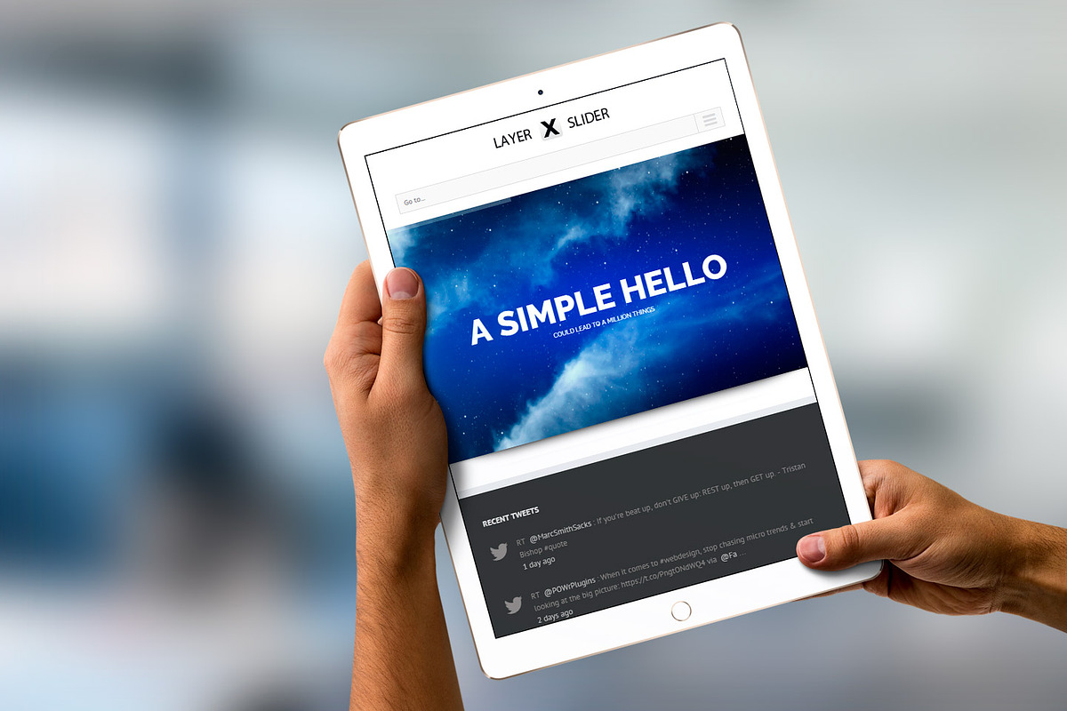 Layer X Slider, a WordPress Template by WPICODE (Photo 7 of 7)