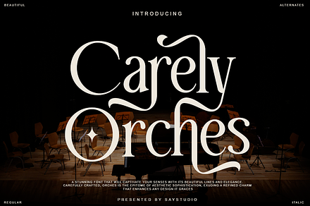 Carely Orches - Classy Serif Font