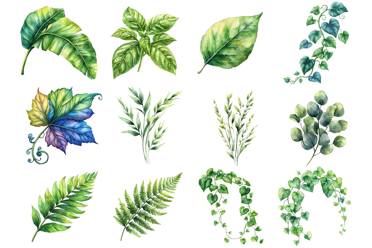 Green Summer Foliage Clipart, an Illustration by Watercolor design (Photo 3 of 10)