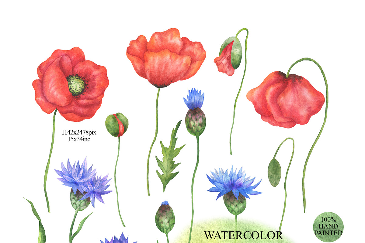 Watercolor Wildflowers clipart, an Illustration by OlDm_Shop (Photo 2 of 7)