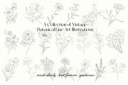 Botanical Line Art Illustrations, a Decorative Illustration by youtoview (Thumbnail 7 of 15)