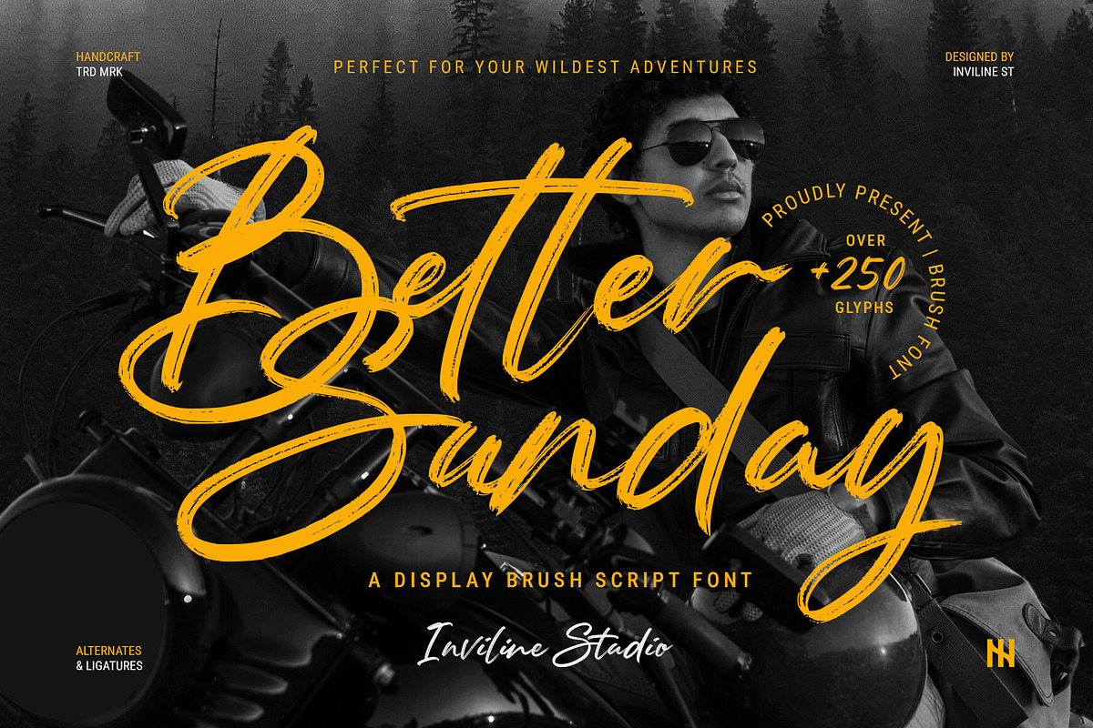 Better Sunday - Brush Script Font, a Script Font by Inviline.co (Photo 1 of 10)