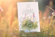 Meadow. Floral Borders & Elements, a Decorative Illustration by OctopusArtis (Thumbnail 4 of 8)