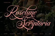 Roselune Scriptoria - Script Font