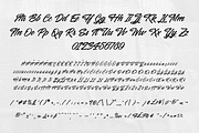 Misero - Brush Script Font, a Script Font by Typeparties (Thumbnail 7 of 7)