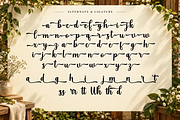 Coiltper - Modern Brush Font, a Handwritten Font by RHD Creative Studio (Thumbnail 3 of 6)