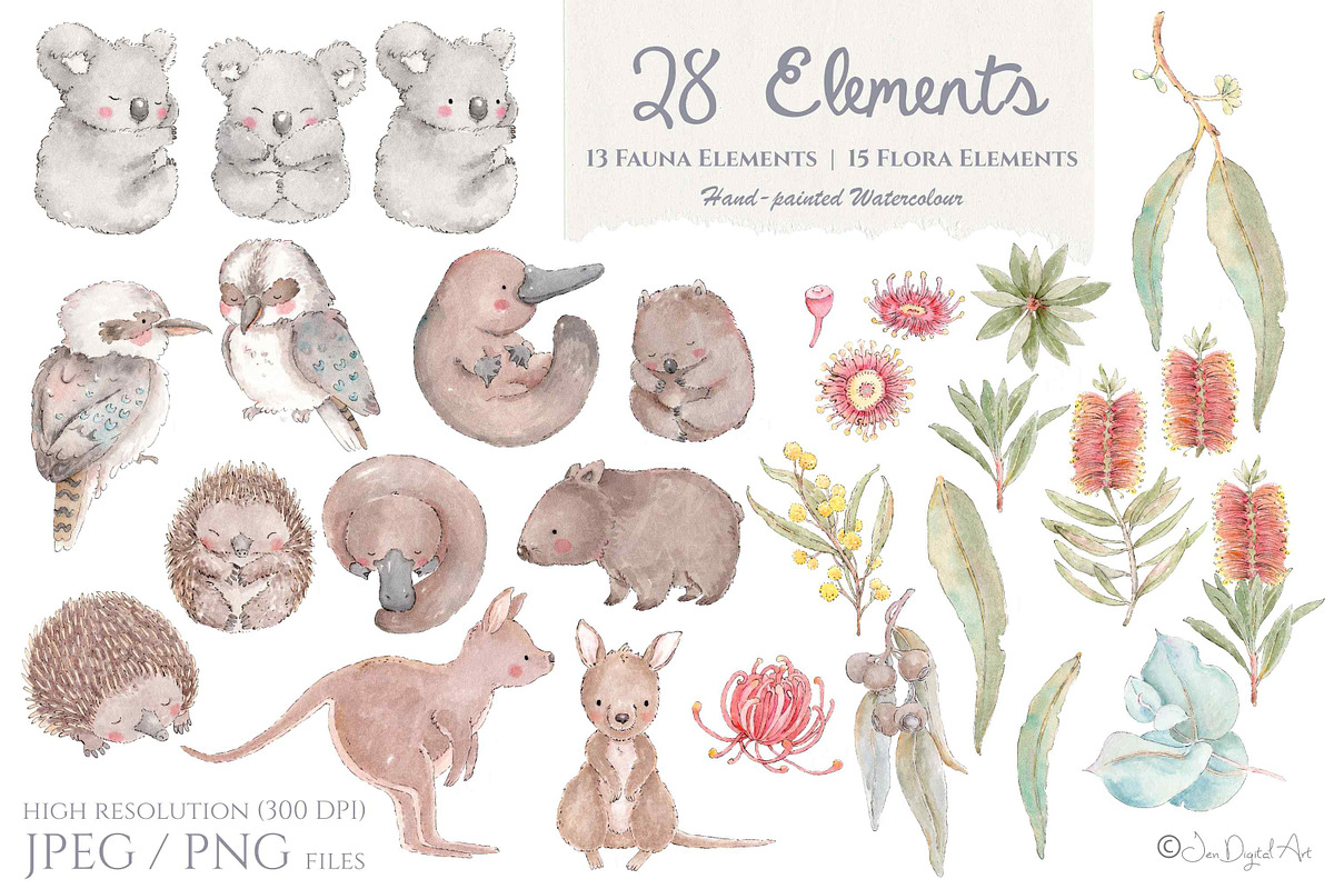 Australian Watercolour Animals, an Illustration by Jen Digital Art (Photo 2 of 4)