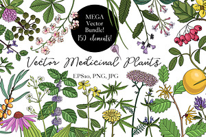 Vector Medicinal Plants