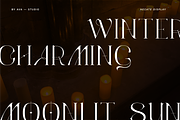 Hecate Display Font, a Serif Font by BY AVA — studio (Thumbnail 7 of 8)