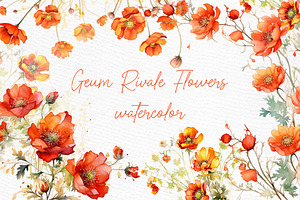 Orange Flowers Clipart Watercolor