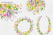 Watercolor meadow herbs&flowers, an Illustration by Depiano (Thumbnail 7 of 19)