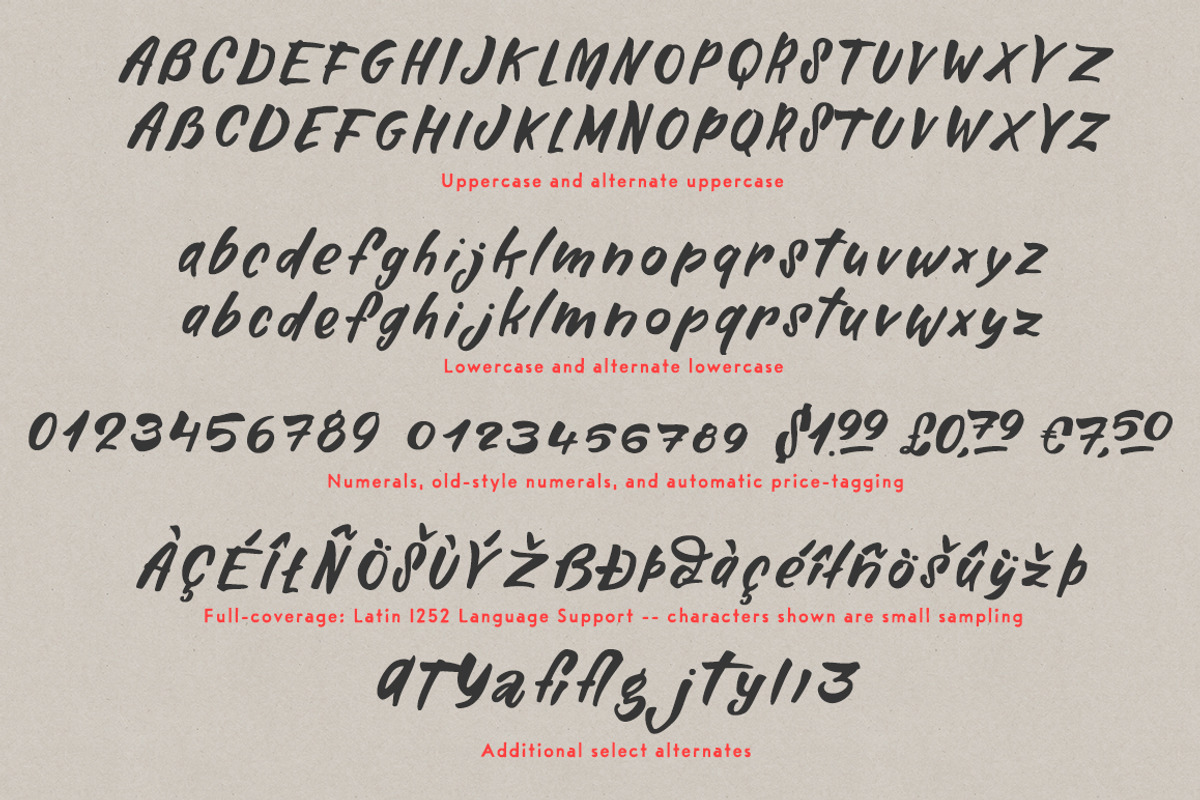 Alinka Brush Font, a Sans Serif Font by Magpie Paper Works (Photo 10 of 11)