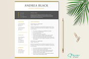 Black and Gold Resume Template, a Resume Template by Stanin Studio (Thumbnail 1 of 10)