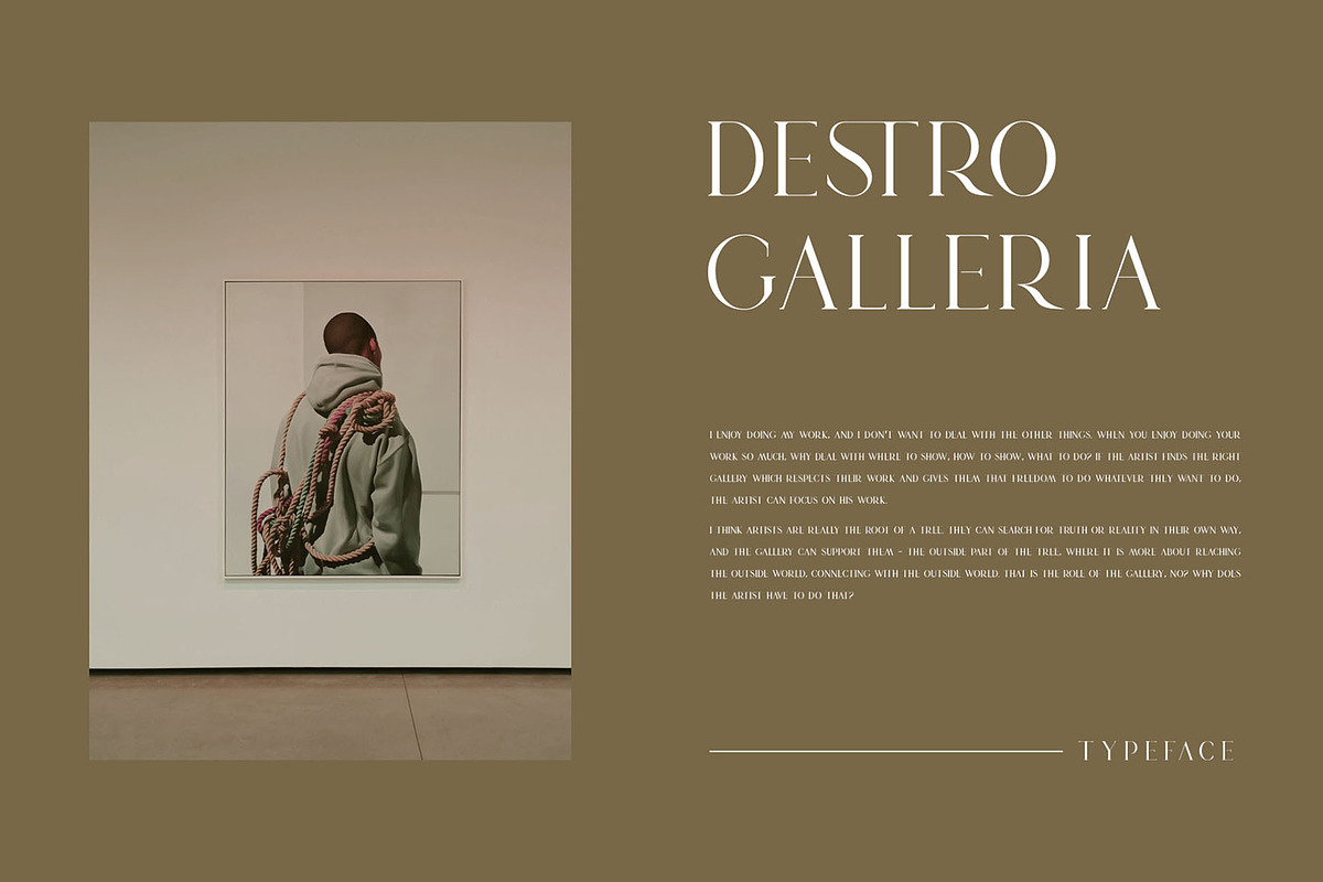 DESTRO Ligature Serif Font, a Serif Font by Humaira_std (Photo 3 of 8)