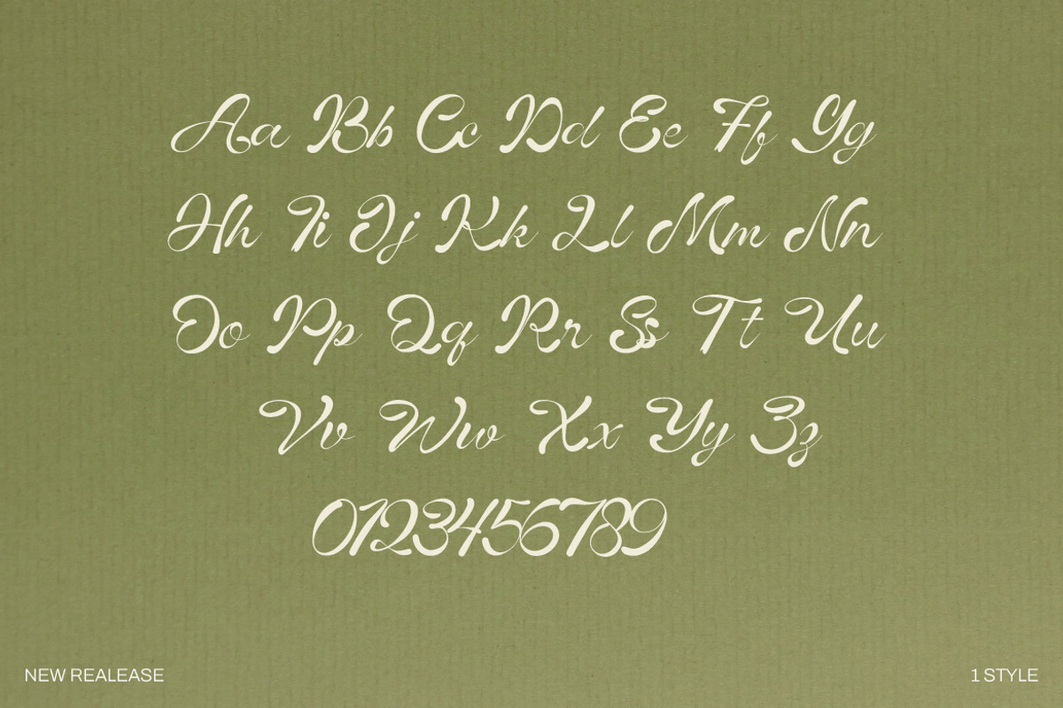 Vinecta - Retro Script Font, a Script Font by Dhabee (Photo 5 of 16)