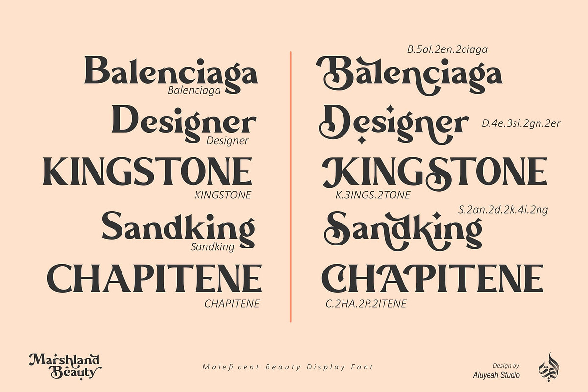 Marshland Beauty, a Font by Aluyeah Studio (Photo 11 of 15)