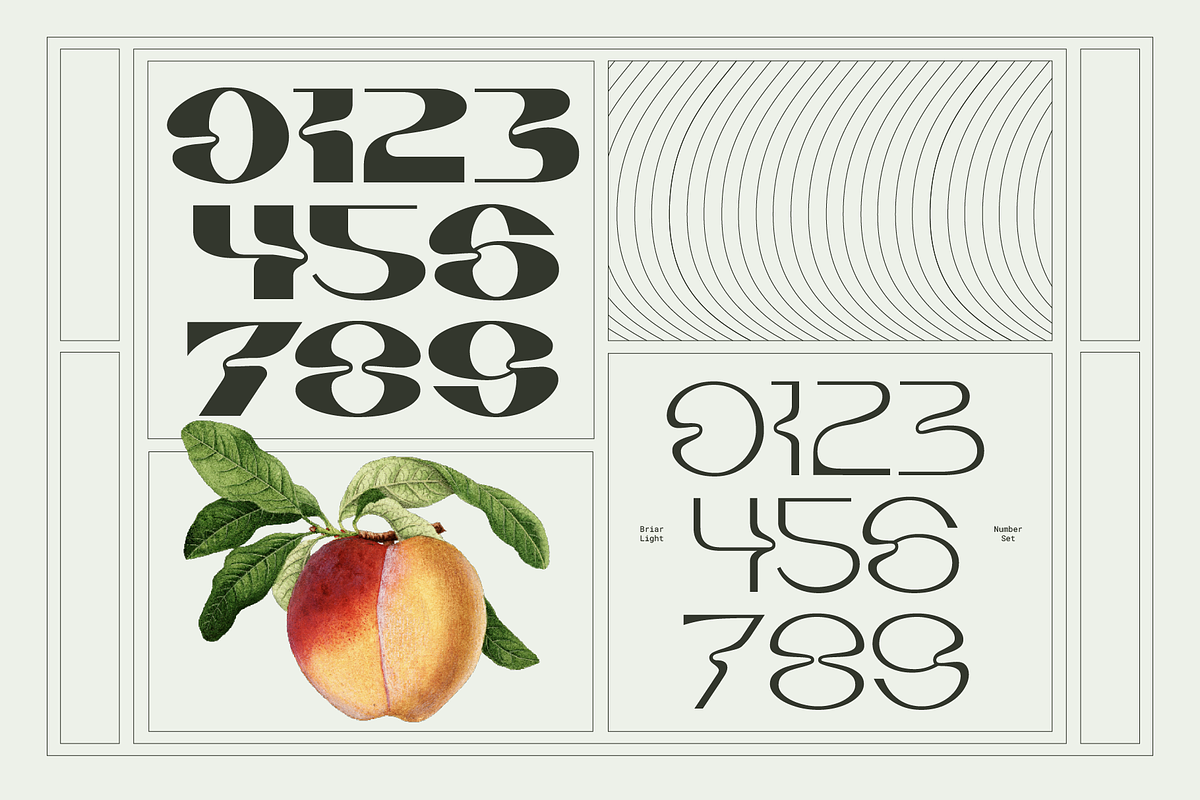 Briar - Fluid Variable Typeface, a Sans Serif Font by Barrett Reid-Maroney (Photo 10 of 10)
