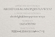 Neat serif font Cogsworth, a Serif Font by Anastasia Cuza (Thumbnail 8 of 9)