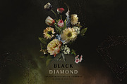 Black Diamond - Digital Graphics, an Illustration by Create The Cut (Thumbnail 8 of 14)