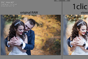 Pro wedding preset