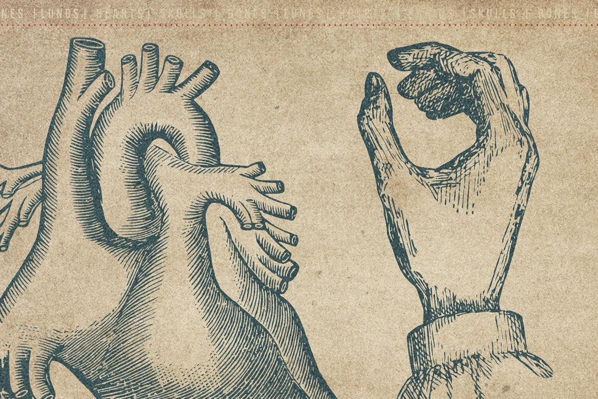 50 Procreate Anatomy Stamps, a Brush Add-On by Endete & Mazak brushes (Photo 7 of 7)