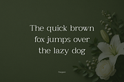 Clayton – Elegant Serif Typeface, a Serif Font by Webhance Studio (Thumbnail 3 of 10)